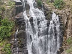 -海南热带雨林国家公园吊罗山景区