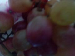 -柯剑飞超级水果批发中心(东港店)