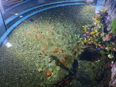 -常州海昌海洋探索馆
