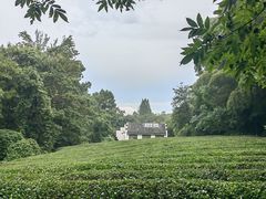 -敬亭山风景名胜区