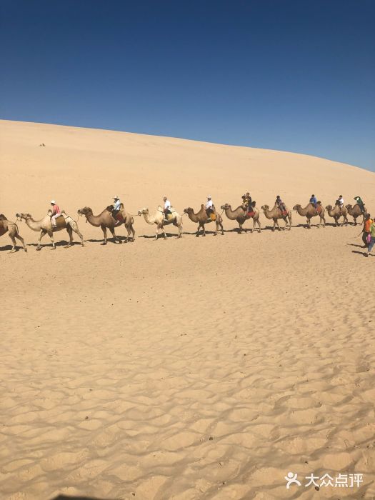 玉龙沙湖景区图片