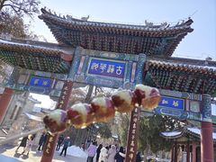 -糖葫芦王保定名吃(古莲花池店)