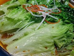 -十二毡房蒙餐·蒙古包