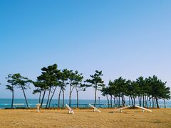 -青岛海泉湾•海洋之星摩天轮