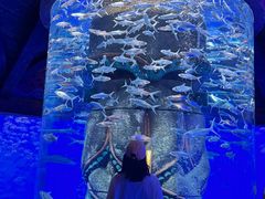 -波塞冬旅游度假区