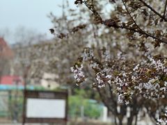 -睦南公园
