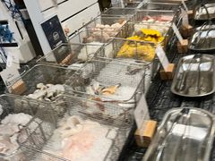 -北京希尔顿逸林酒店-逸轩西餐厅-自助餐厅