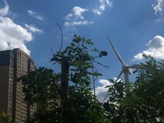 -长白岛森林公园