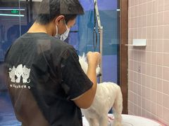 -FAELING PETS美天灵宠物(富力广场店)