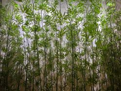 点击看大图 -盘子女人坊古装写真摄影(天津总店)