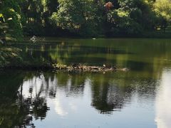 -棠樾牌坊群鲍家花园景区