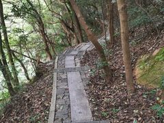 -西湖风景区十里琅珰-五云山