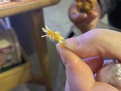 -麦当劳(龙湖时代天街店)