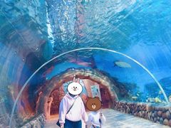 -华夏文旅海洋公园