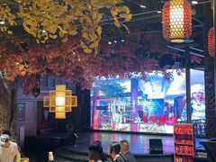 -老凯俚酸汤鱼(多彩城店)