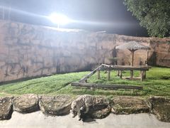 -清迈夜间动物园