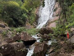 -广州白江湖森林公园