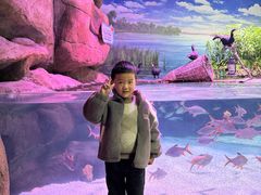-南昌海洋公园