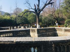 -习家池
