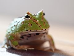 -三旗百汇商品城