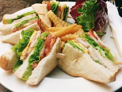 -Fern Forest Cafe