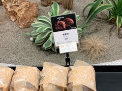 -OUR Bakery(SKP-S店)