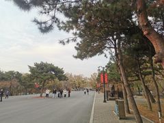 -北陵公园