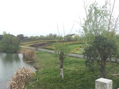 -梁鸿国家湿地公园