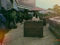 -金鸡山公园