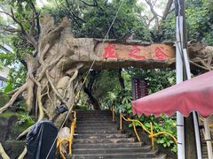 -求水山公园