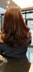 -维卡 Salon