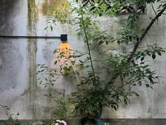 -院子餐厅·大锅菜·老杭帮(桥西直街店)