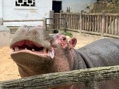 -昆明动物园