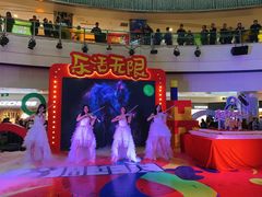 -鹏欣水游城