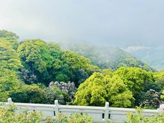 -梧桐山风景名胜区