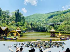 -西双版纳原始森林公园