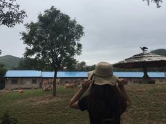 -石家庄市动物园