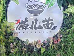 -老地方猫儿面(磁器口店)