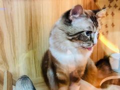 -白兔子密室(长寿路店)