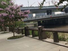 -运河游船(武林门码头)