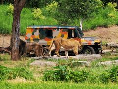 -北京野生动物园