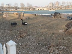 -长春市南湖公园