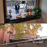 各种杂货 每个细节都很像让人拿起相机留下这小美好…