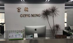 -宫铭烫发染发接发店