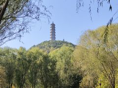 -北坞公园