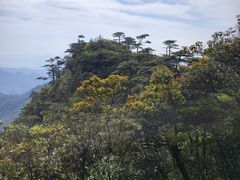 -三清山风景名胜区