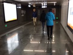 -平乐园(地铁站)
