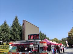 -江心岛