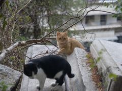 -厦门良筑精品酒店(厦门中山路店)