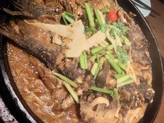 -老板恋上鱼(环山路店)
